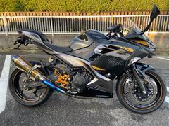 カワサキ　Ｎｉｎｊａ　４００　バックステップ　前後ドライブレコーダー　ＢＥＥＴフルエキ　フェンダーレス　ＵＳＢ２口