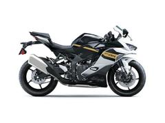 カワサキ　Ｎｉｎｊａ　ＺＸ−４Ｒ　ＳＥ