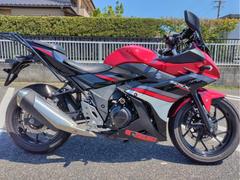 スズキ　ＧＳＸ２５０Ｒ　社外スクリーン　ＥＴＣ　サイドスタンドプレート　社外レバー　フレームスライダー　ＵＳＢ付スマホホルダー