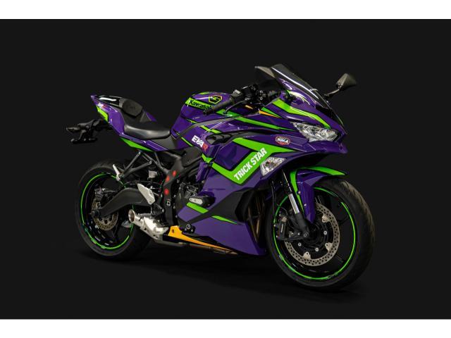 カワサキ Ｎｉｎｊａ ＺＸ－２５Ｒ ＳＥ エヴァンゲリオン初号機カラー 