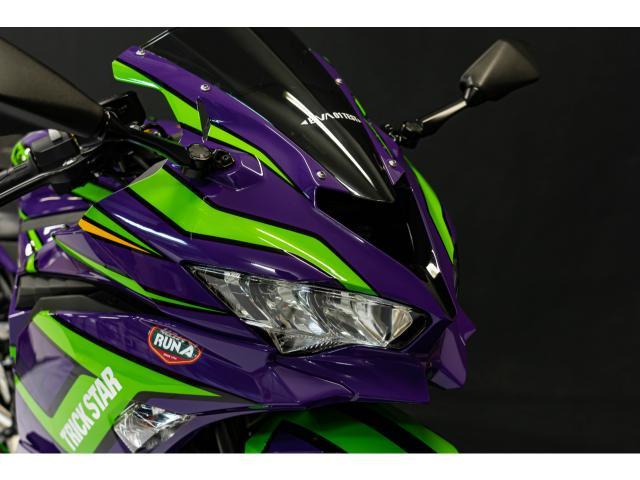 カワサキ Ｎｉｎｊａ ＺＸ－２５Ｒ ＳＥ エヴァンゲリオン初号機カラー 