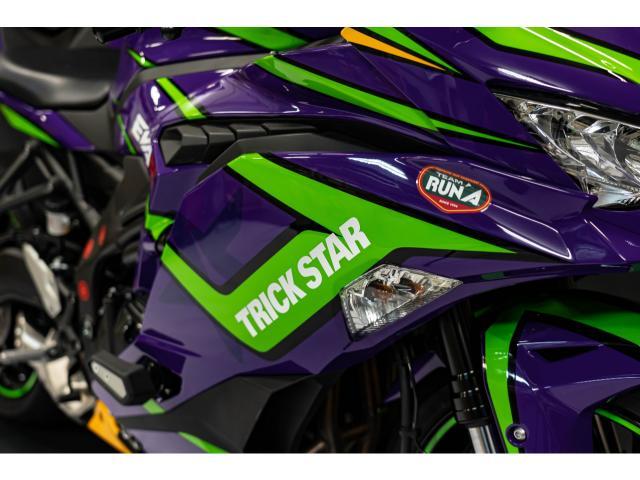 カワサキ Ｎｉｎｊａ ＺＸ－２５Ｒ ＳＥ エヴァンゲリオン初号機カラー 