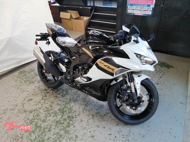 ロードバイク ホワイト XDS ロードバイク RT500 シルバー/ホワイト 500 (適応身長目安