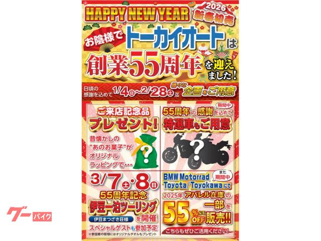 カワサキ Ninja 250 ギャラクシーシルバー×キャンディ