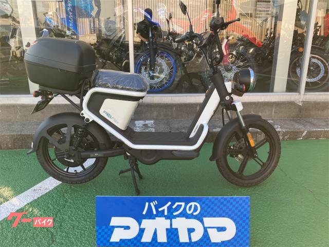 ＰＥＶ６００