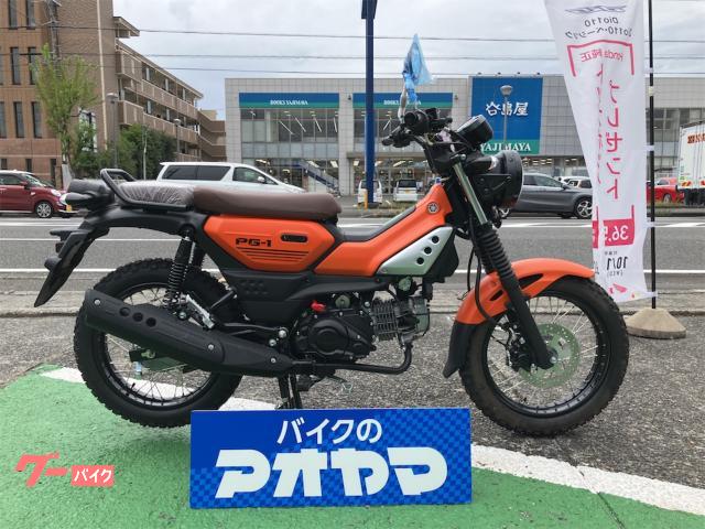 ＰＧ−１オレンジ