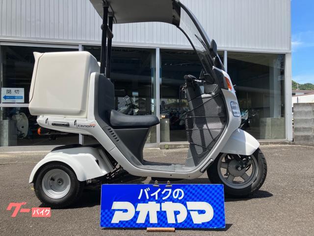 ジャイロキャノピー　水冷４サイクルＦＩエンジン／セルスターター