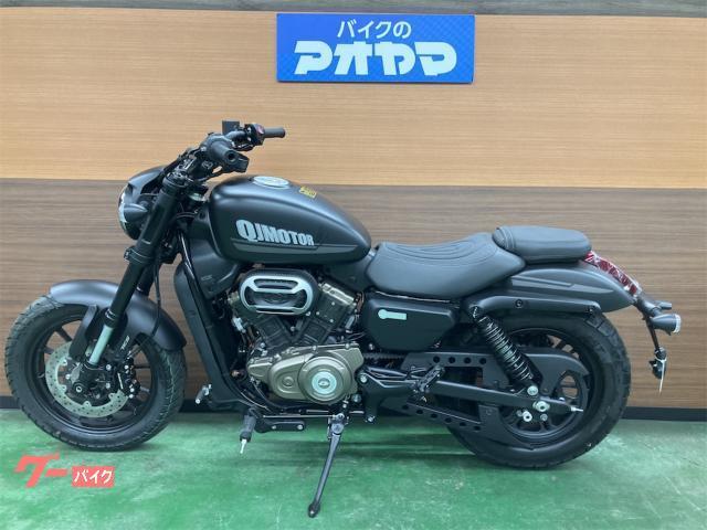 SRV250 カスタム車輌　自賠責7年1月 SRV250A | カワサキ KTM バイク 逆輸入 東京 八王子市 東村山市