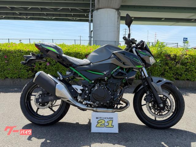 Ｚ２５０
