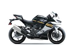 カワサキ　Ｎｉｎｊａ　ＺＸ−４Ｒ　ＳＥ　２０２６年モデル
