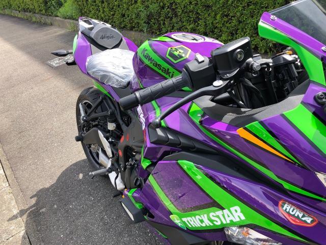 カワサキ Ｎｉｎｊａ ＺＸ－２５Ｒ ＳＥ エヴァンゲリオン初号機カラー 