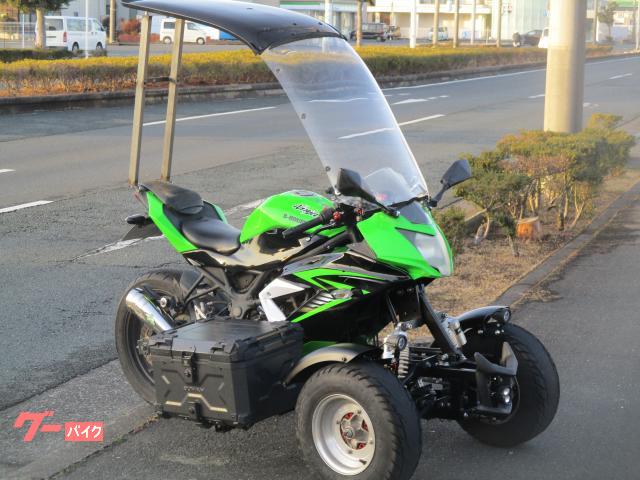 Ｎｉｎｊａ　２５０ＳＬ　ＮＡＫＩＲＩ　ＳＵＰＥＲ　Ｂ−ＴＲＩＫＥ７　ＲＯＯＦ