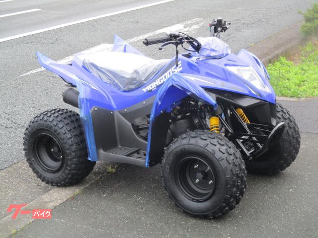 ＫＹＭＣＯ・他車種ＡＴＶマングース９０Ｓ