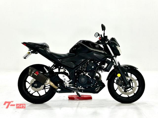 ＭＴ−０３（３２０ｃｃ）　１０１２５３００１１　アクラポヴィッチ製サイレンサー・フェンダーレスキット付