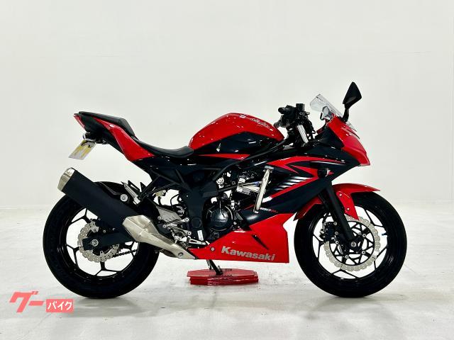Ｎｉｎｊａ　２５０ＳＬ　１２５８４８００１９　水冷ＤＯＨＣ単気筒エンジン搭載　バーハンドルキット・大型エンジンガード付