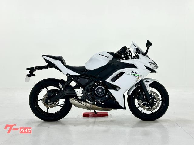 Ｎｉｎｊａ　６５０　１０３１４７０００６　カスタムレバー・デイトナ２ポートＵＳＢ・トリックスタースライダー付