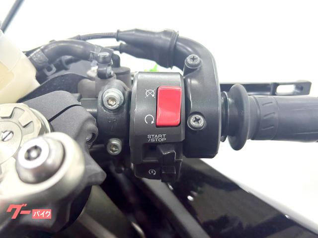 カワサキ ZX-6R SE 1236520027|株式会社レッド カワサキ ZX-6R SE 1236520027|株式会社レッド
