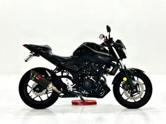 ヤマハ　ＭＴ−０３（３２０ｃｃ）　１０１２５３００１１　アクラポヴィッチ製サイレンサー・フェンダーレスキット付