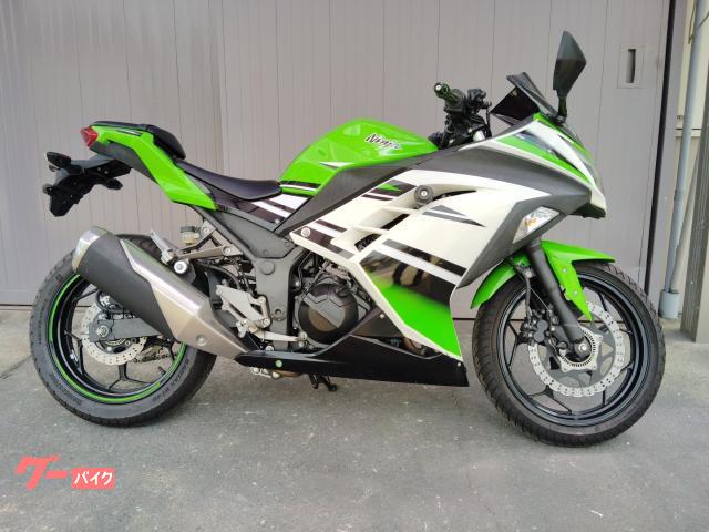Ｎｉｎｊａ　２５０　ＡＢＳ　アニバーサリーエディション