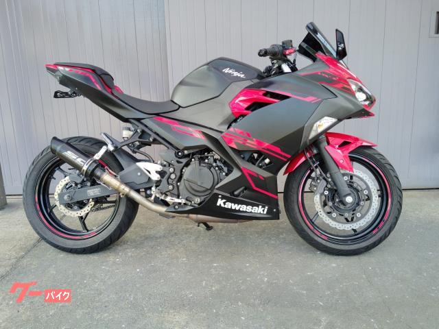 Ｎｉｎｊａ　２５０　ＡＢＳ　ＥＸ２５０Ｐ　２０１８年モデル