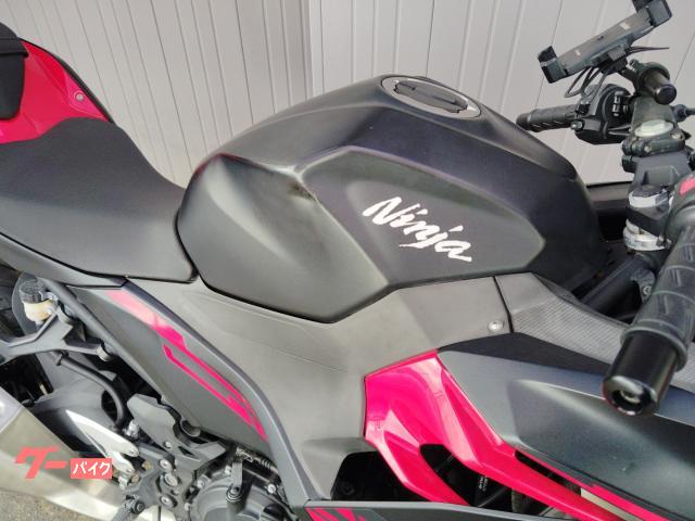 カワサキ Ninja 250 ABS EX250P 2018年モデル