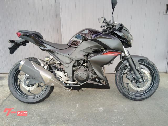 Z250 ブラック ER250C