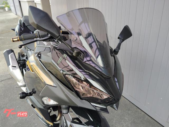 カワサキ Ninja 250 メタリックカーボングレー 2024年式