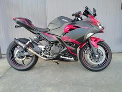 カワサキ　Ｎｉｎｊａ　２５０　ＡＢＳ　ＥＸ２５０Ｐ　２０１８年モデル