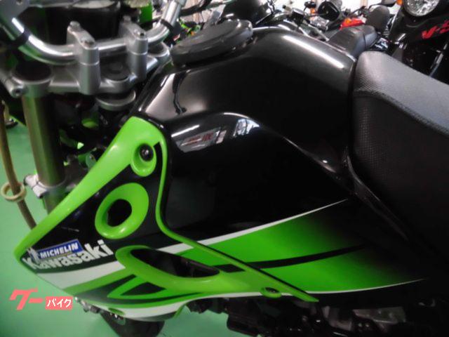 カワサキ KSR110マニュアルチェンジ仕様．タケガワ．フルエキ