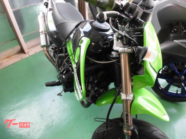 カワサキ KSR110マニュアルチェンジ仕様．タケガワ．フルエキ