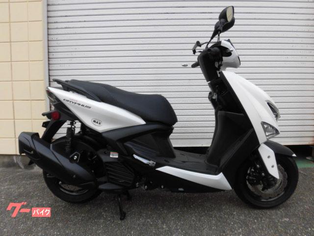 シグナス　グリファス