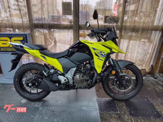 Ｖ−ストローム２５０ＳＸ