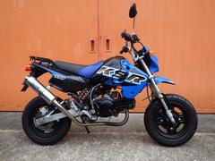 カワサキ　ＫＳＲ１１０　タケガワマフラー・リアキャリア