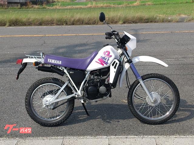 ＤＴ５０　１７Ｗ　２サイクル　オフロード　キャブＯＨ　ノーマル仕様　ホワイト　低走行