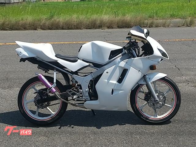 ＮＳ−１　ＣＢＲ１０００ＲＲタイプ仕様　フルカウル　ＮＲマジックチャンバー　ＣＤＩ付　２サイクルレプリカ　ホワイト