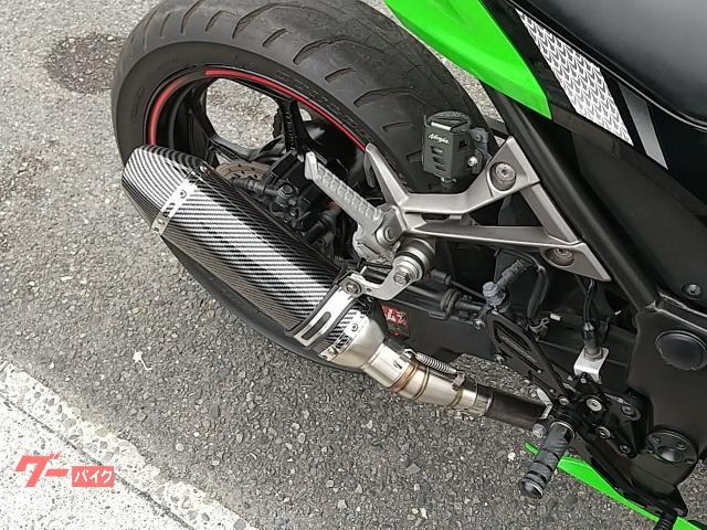 カワサキ Ninja 250 EX250L ABS スペシャル