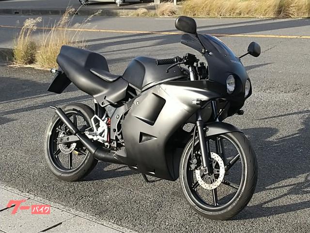 NS--1 後期 ライト付きカウル ホンダ NS－1 後期型 デュアル2灯ライトフルカウル CDI付 社外