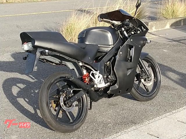 ホンダ NS－1 後期型 デュアル2灯ライトフルカウル CDI付 社外