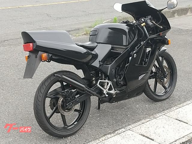 ホンダ NS－1 後期型 デュアル2灯ライトフルカウル 社外チャンバー
