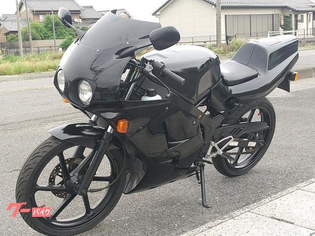 ホンダ NS－1 後期型 デュアル2灯ライトフルカウル 社外チャンバー