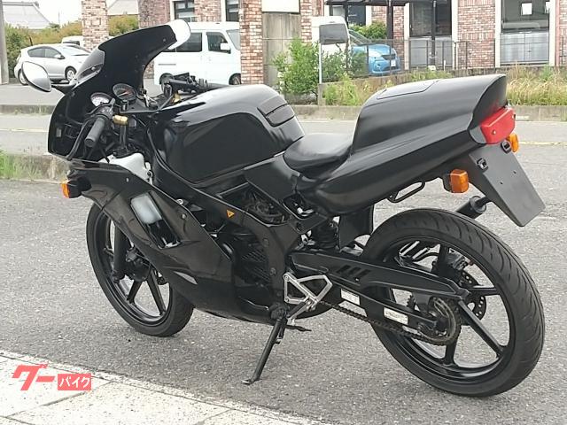 ホンダ NS－1 後期型 デュアル2灯ライトフルカウル 社外チャンバー