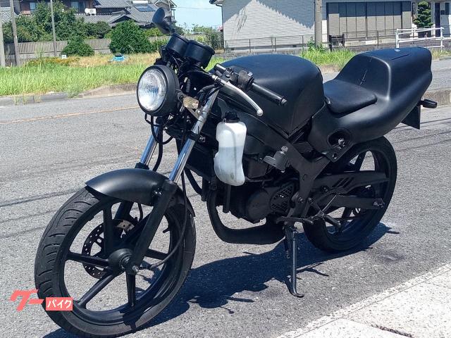 ホンダ NS－1 ネイキッド仕様 ヘッドライト ウインカー バッテリー