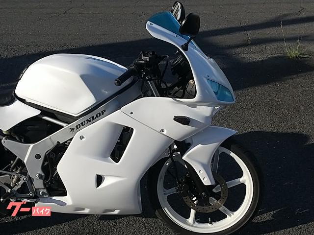 ホンダ NS－1 CBR1000RR仕様 デュアル2灯フルカウル