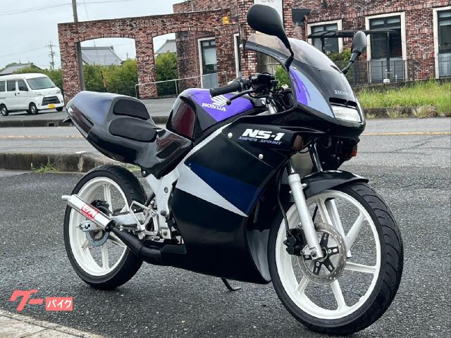 ホンダ NS－1 初期型フルカウル 社外チャンバー シートカウル