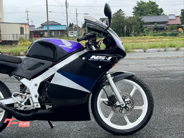 ホンダ NS－1 初期型フルカウル 社外チャンバー シートカウル