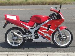 ホンダ　ＮＳ−１　初期型　フルカウル　ＣＤＩ付　パワフィル仕様　２サイクル　スポーツレプリカ