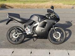 ホンダ　ＮＳ−１　後期型　デュアル２灯ライトフルカウル　ＣＤＩ付　社外ウインカー　２サイクル　スポーツレプリカ　マットブラック改