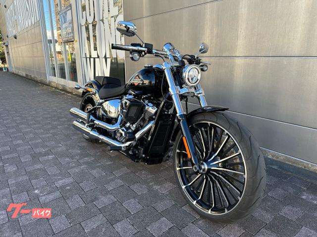 HARLEY-DAVIDSON FXBR ETC 2025 — миниатюра 3