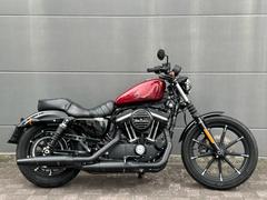ＨＡＲＬＥＹ−ＤＡＶＩＤＳＯＮ　ＸＬ８８３Ｎ　アイアン