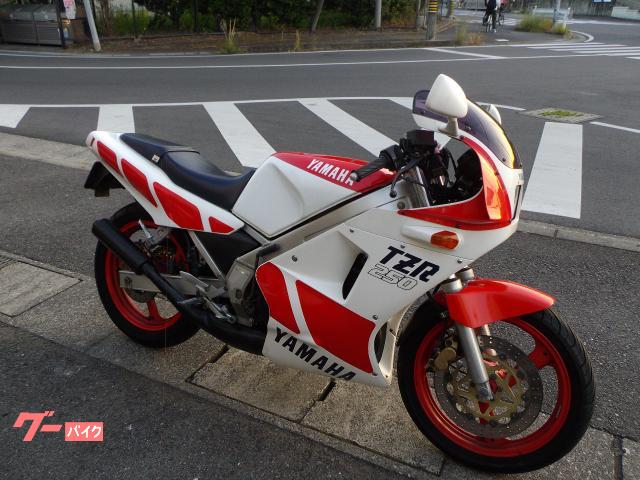 ＴＺＲ２５０